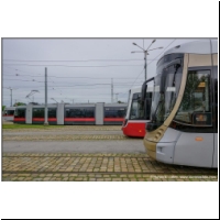 2021-05-21 Alstom Flexity Bruxelles (03700370).jpg